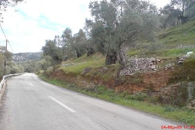 Недвижимость на о.Лесбос . Участок за городом площадью 0 кв.м.