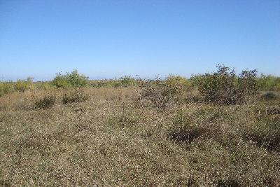 Недвижимость на Катерини . Участок за городом площадью 500 кв.м.