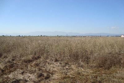 Недвижимость на Катерини . Участок за городом площадью 450 кв.м.