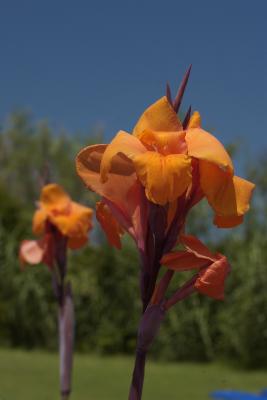 Недвижимость на о.Корфу . Отель площадью 0 кв.м.