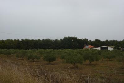 Недвижимость на Ксанфи . Участок за городом площадью 8000 кв.м.