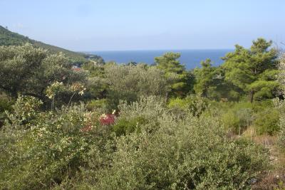 Недвижимость на о.Тасос . Участок за городом площадью 5295 кв.м.