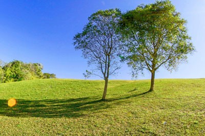 Недвижимость на Лефкада . Участок за городом площадью 138200 кв.м.