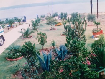 Недвижимость на о.Амульяни . Участок за городом площадью 1000 кв.м.